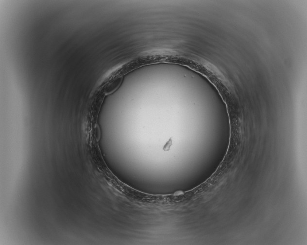 X0000115290872200911090950