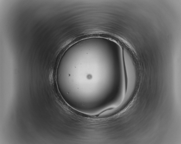 X0000115290873200911090950