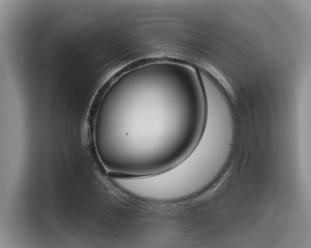 X0000115290876200911090950