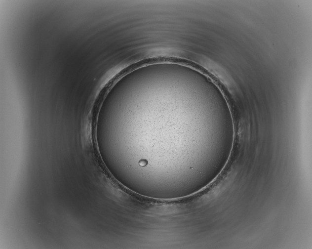 X0000115290877200911090950