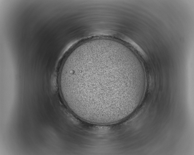 X0000115290878200911090950