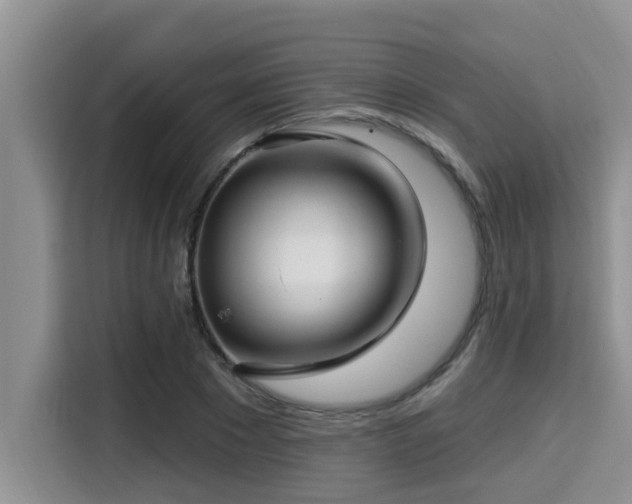 X0000115290881200911090950