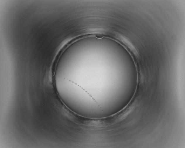 X0000115290883200911090950