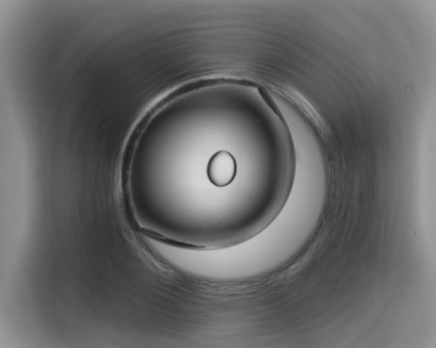 X0000115290884200911090950