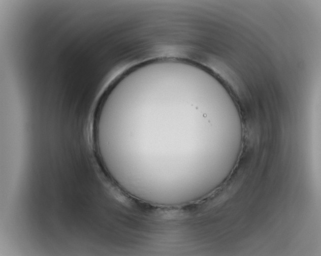 X0000115290886200911090950