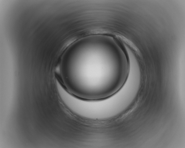 X0000115290889200911090950