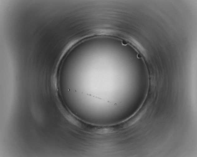 X0000115290891200911090949