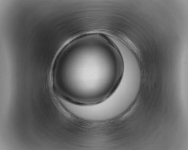X0000115290892200911090949