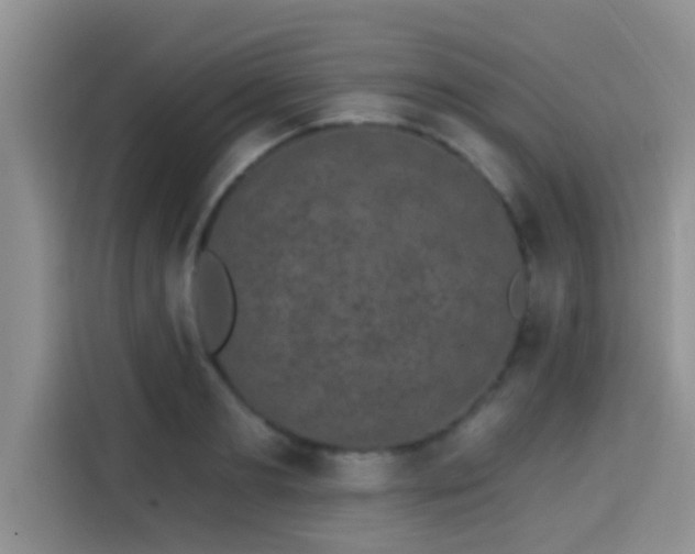 X0000115290893200911090949