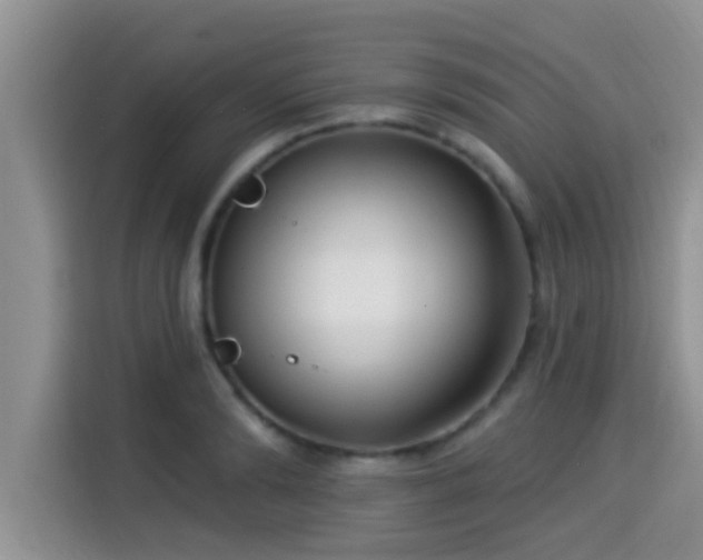 X0000115290894200911090949