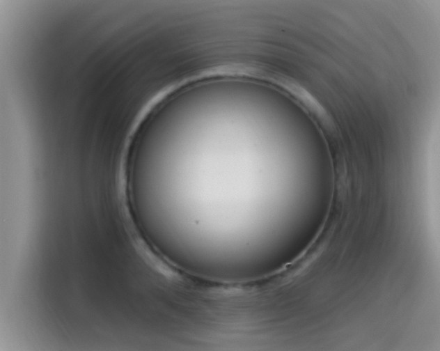 X0000115290896200911090949