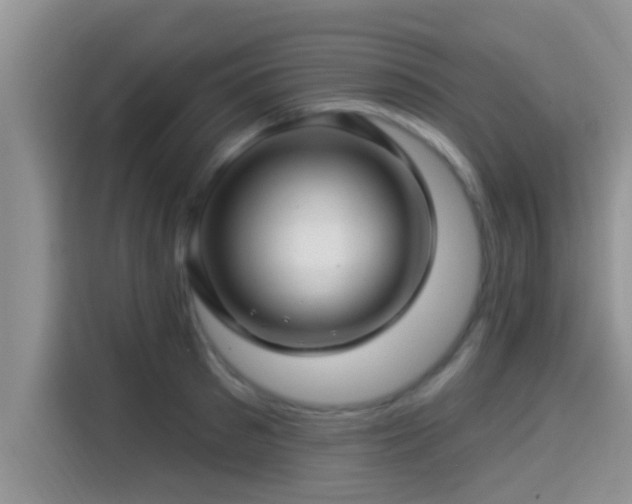 X0000115290897200911090949