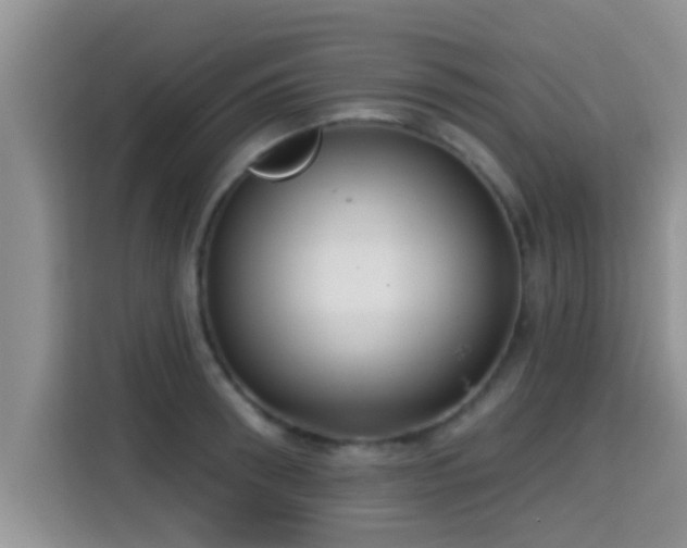 X0000115290898200911090949