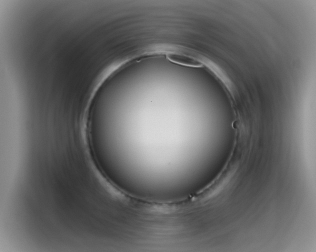 X0000115290901200911090949