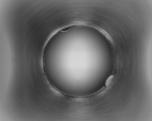 X0000115290904200911090949
