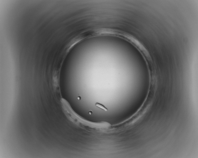 X0000115290905200911090949