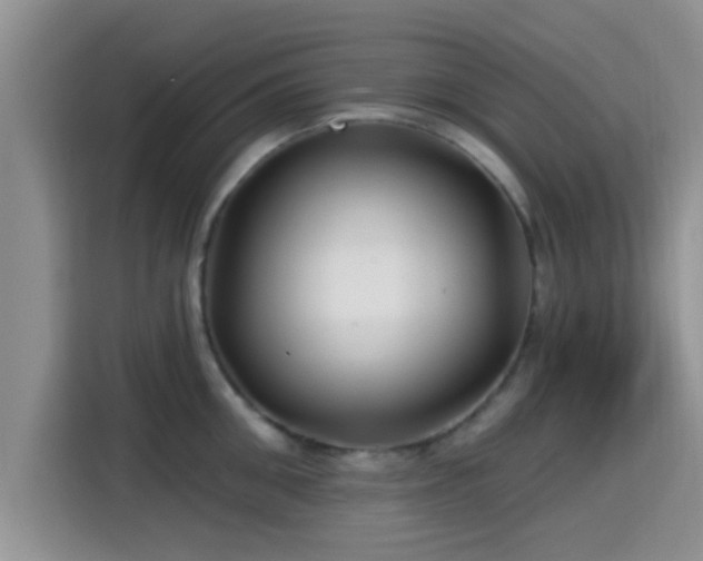 X0000115290906200911090949