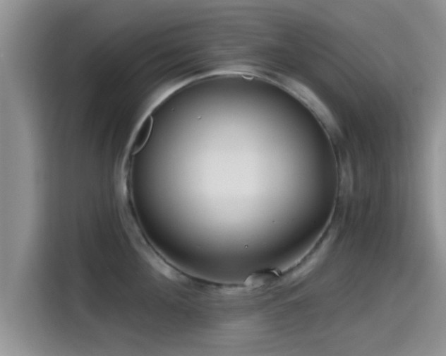 X0000115290908200911090949