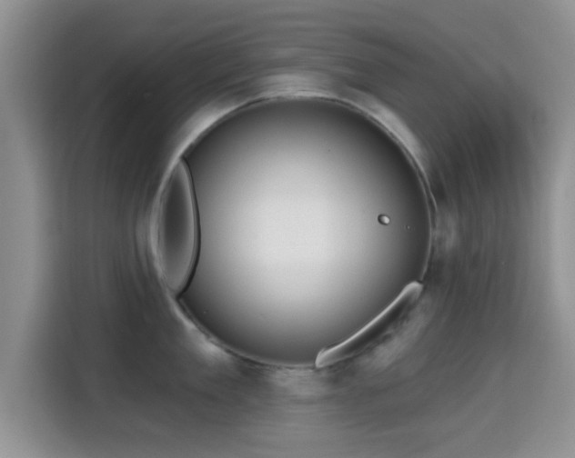 X0000115290909200911090949