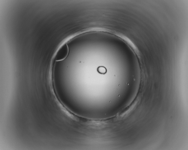 X0000115290910200911090949