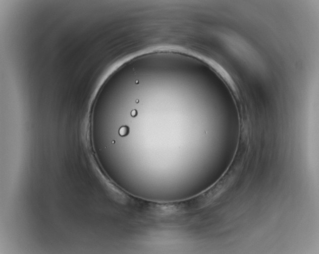 X0000115290911200911090949