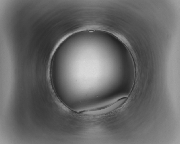 X0000115290912200911090949