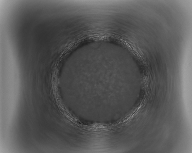 X0000115290913200911090949