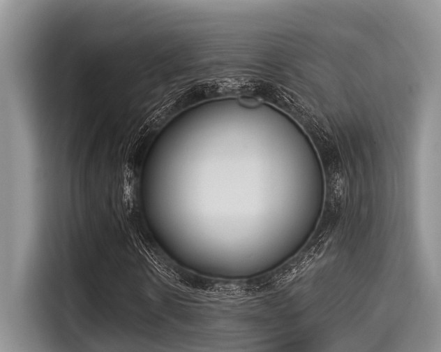 X0000115290914200911090949