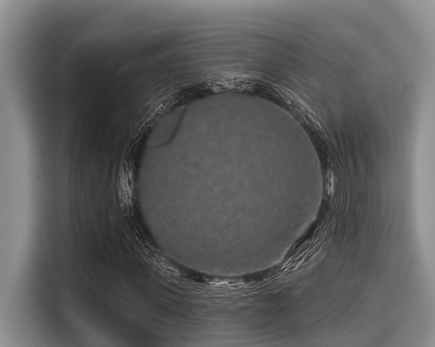 X0000115290915200911090949