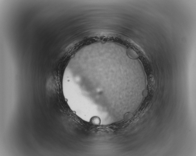 X0000115290918200911090949