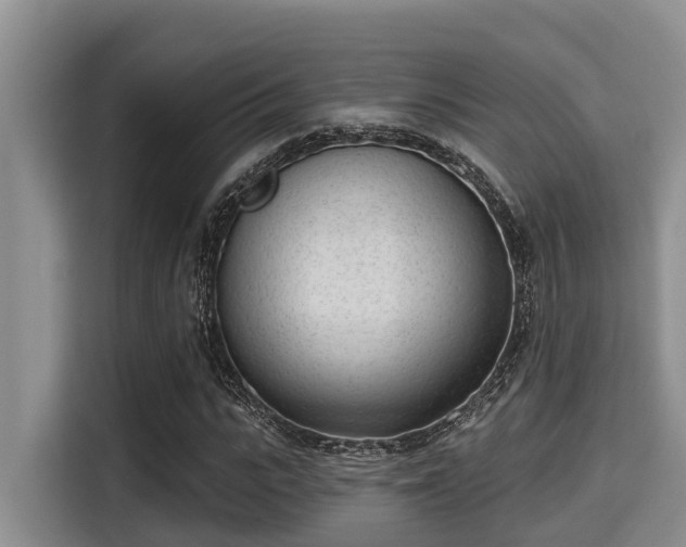 X0000115290919200911090949