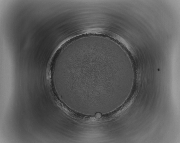 X0000115290923200911090949