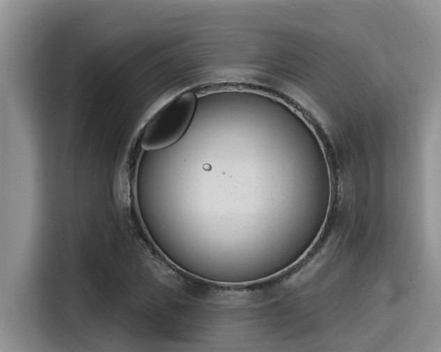 X0000115290925200911090949
