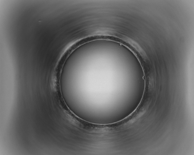 X0000115290926200911090949