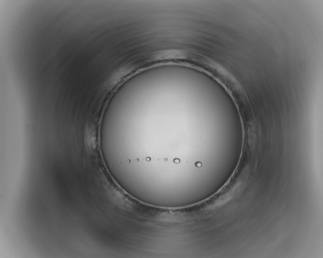 X0000115290929200911090949