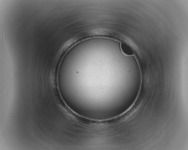 X0000115290930200911090949