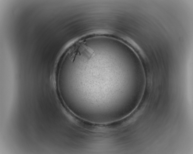 X0000115290935200911090949