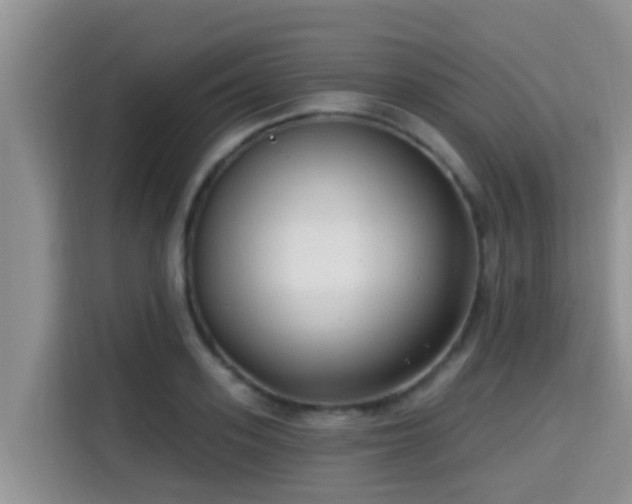 X0000115290939200911090949