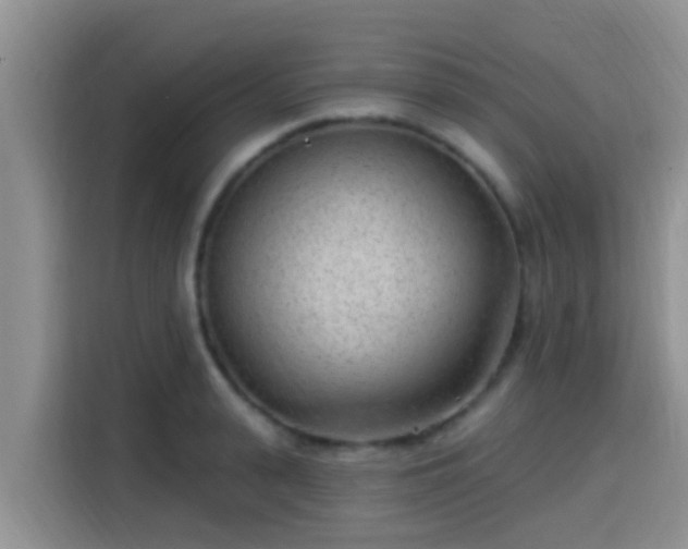 X0000115290943200911090949