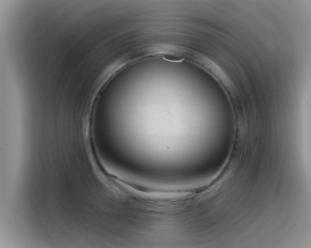 X0000115290946200911090949