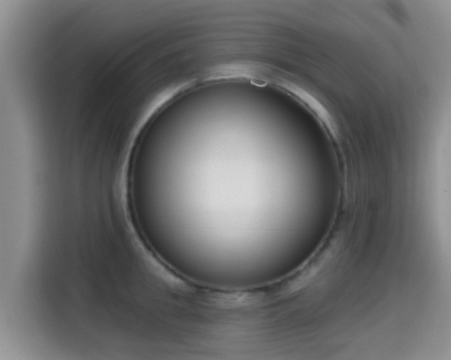 X0000115290949200911090949