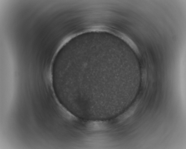 X0000115290950200911090949