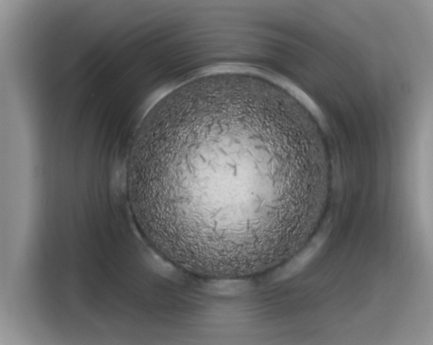 X0000115290953200911090949