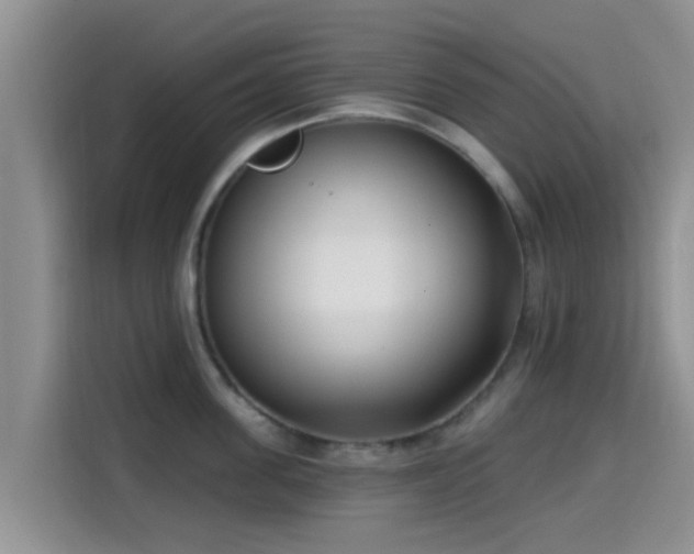 X0000115290955200911090949