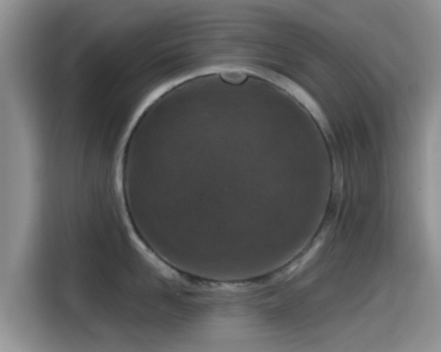 X0000115290958200911090949