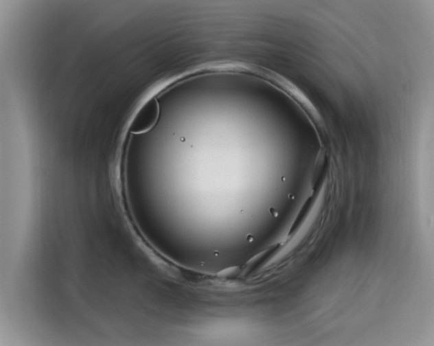 X0000115290959200911090949
