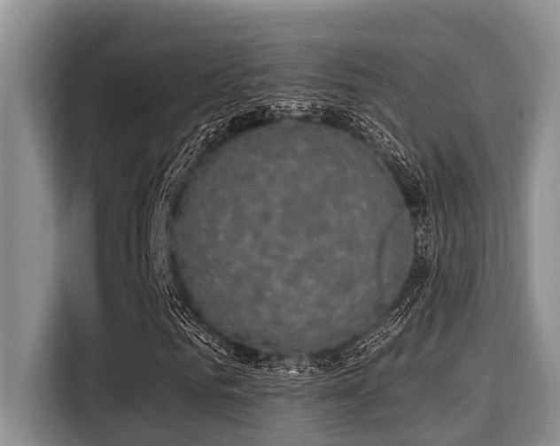 X0000115290961200911090949