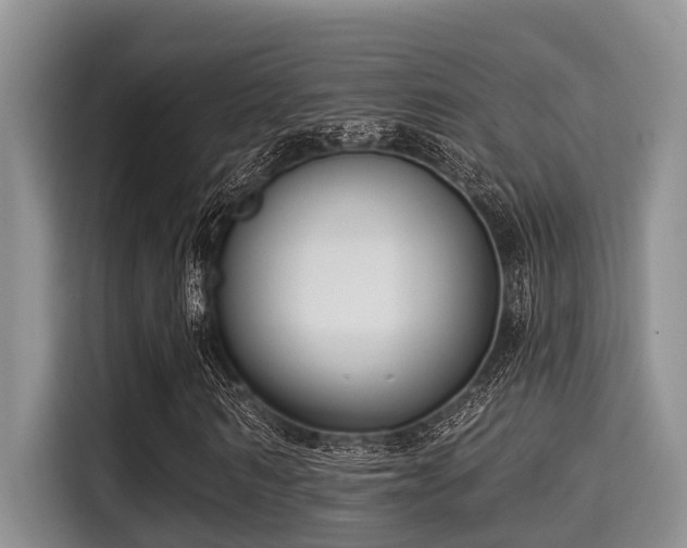 X0000115290962200911090949