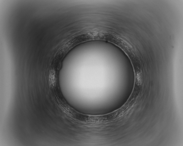 X0000115290963200911090949