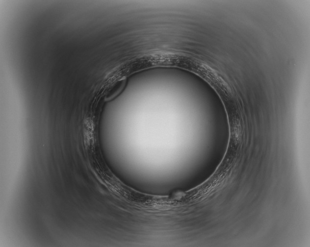 X0000115290964200911090949